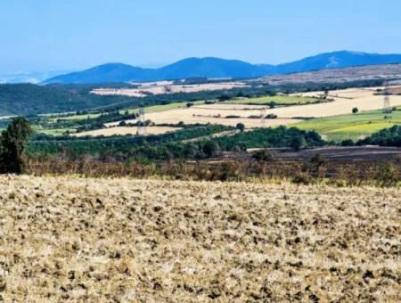 Tekirdağ Aşağkiliçli Mah. 2.340 M2 Kupon Feld Für Dringenden Verkauf, Das Hohe Gewinne Verspricht Und Sich Für Kauf Und Verkauf Eignet