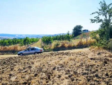 Tekirdağ Aşağkiliçli Mah. 2.340 M2 Kupon Feld Für Dringenden Verkauf, Das Hohe Gewinne Verspricht Und Sich Für Kauf Und Verkauf Eignet