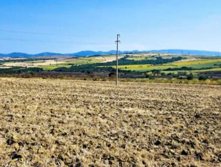 Tekirdağ Aşağkiliçli Mah. 2.340 M2 Kupon Feld Für Dringenden Verkauf, Das Hohe Gewinne Verspricht Und Sich Für Kauf Und Verkauf Eignet