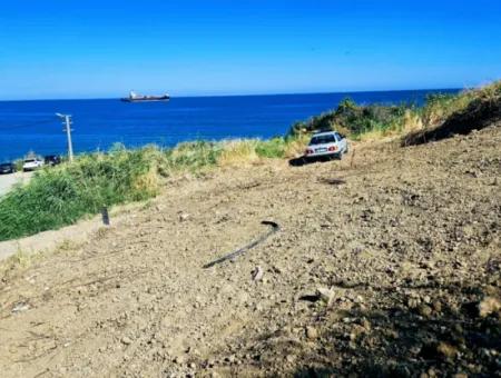 Gutschein Grundstück Geeignet Für Den Bau Ihrer Freistehenden Villa Am Meer In Tekirdag Barbarosta