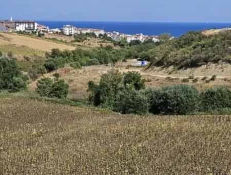 9.100 M2 Villa Zoniertes Feld Zum Dringenden Verkauf In Tekirdag Barbarosta