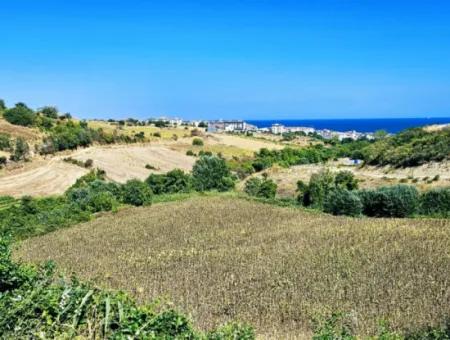 9.100 M2 Villa Zoniertes Feld Zum Dringenden Verkauf In Tekirdag Barbarosta