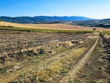 Der Hafen Von Asyaport Liegt Ganz In Der Nähe Der Bestehenden Zonierung Von 17.350 M2 Schnäppchen-Investitionscoupon-Feld Für Den Dringenden Verkauf