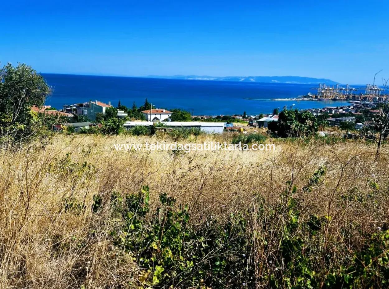 Amazing Investment Opportunity For 6 Villas With Sea View In Tekirdag Süleymanpaşa Barbarossa!