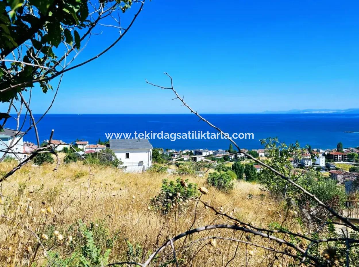 Amazing Investment Opportunity For 6 Villas With Sea View In Tekirdag Süleymanpaşa Barbarossa!