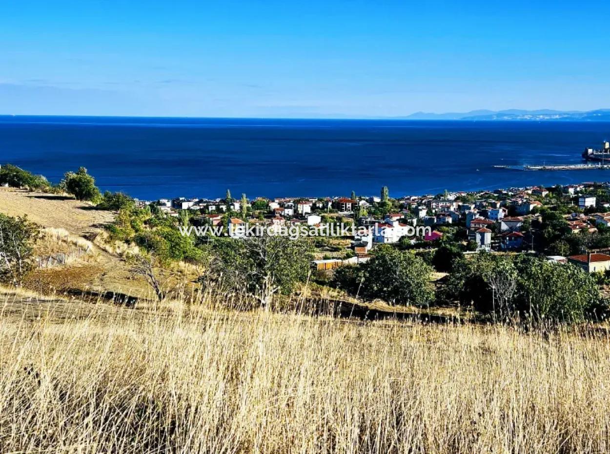 532 M2 Corner Plot For Sale In Tekirdag Süleymanpaşa Barbaros Neighborhood With Magnificent Sea And Nature Views