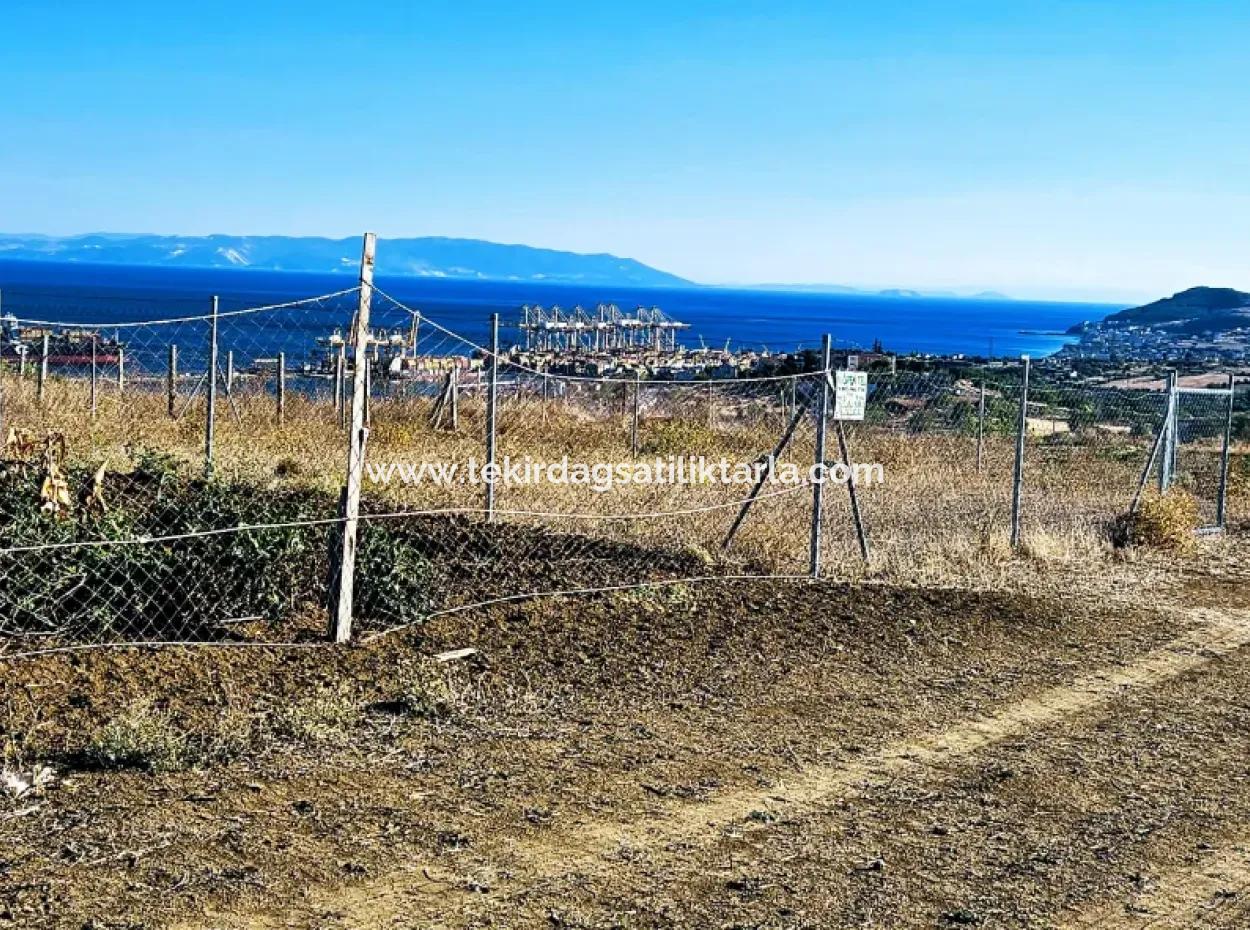 765 M2 Bargain Land With Full Sea View For Urgent Sale In Tekirdag Barbarosta