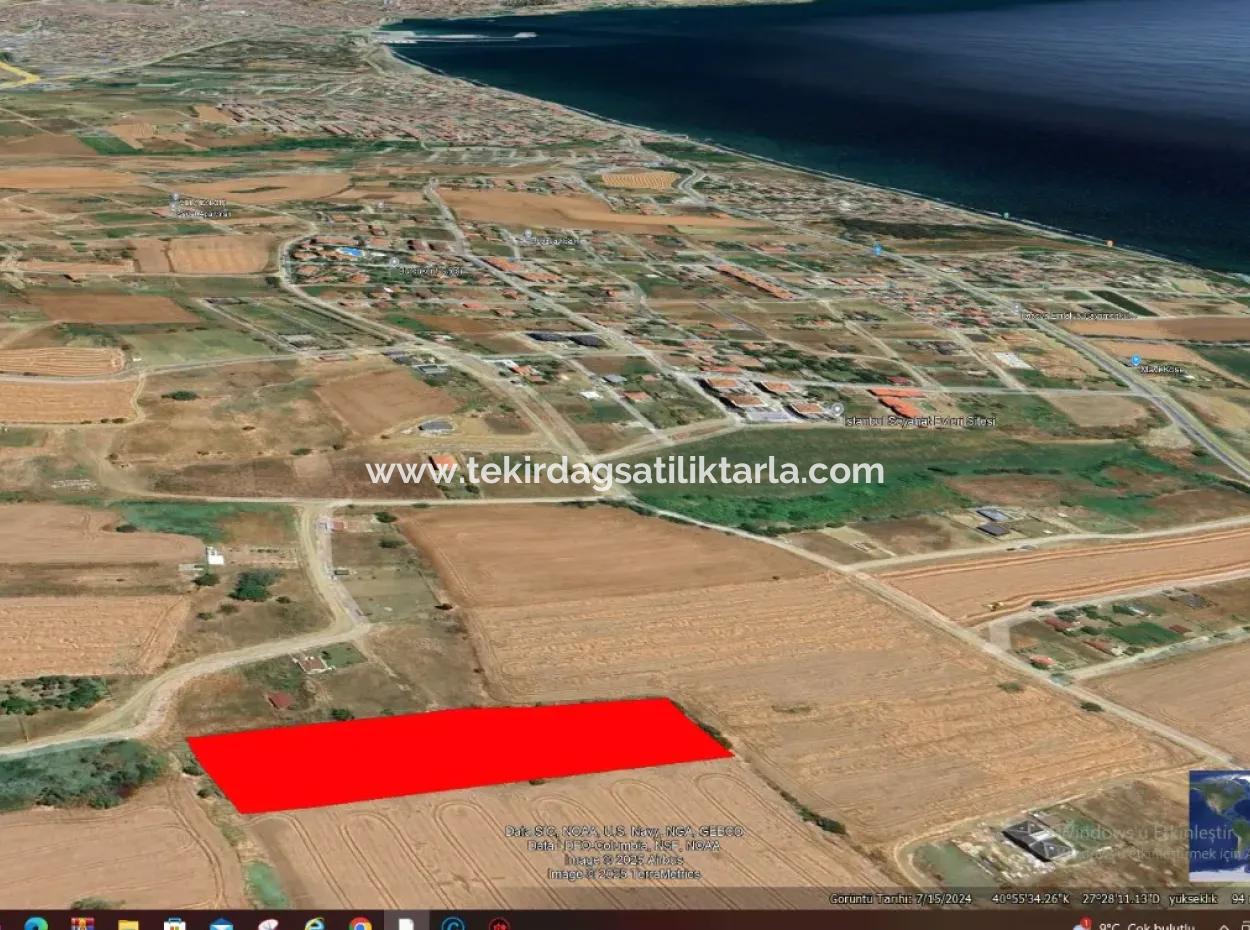 Suitable For Urgent Sale Cooperative And Site In Tekirdag Barbarosta. High Profit Guarantee To The Investor