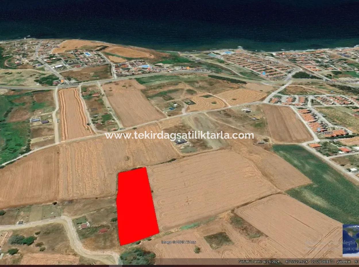 Suitable For Urgent Sale Cooperative And Site In Tekirdag Barbarosta. High Profit Guarantee To The Investor