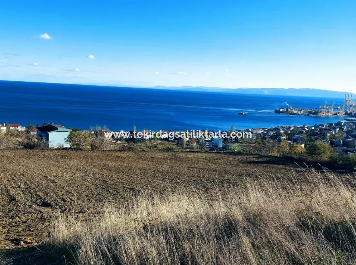 Residential Zoned Land With Full Sea View Suitable For The Construction Of A 42-Apartment Cooperative Site For Urgent Sale In Tekirdag Barbarosta