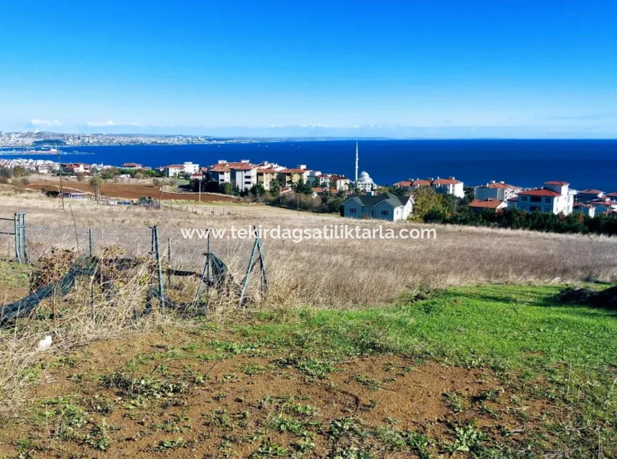 45 Flats Full Sea View Residential Zoned Land For Urgent Sale Tekirdag Barbarosta