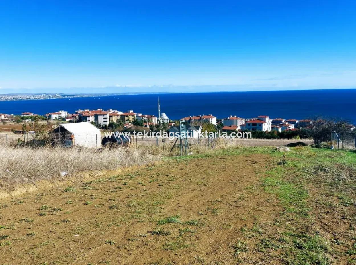 45 Flats Full Sea View Residential Zoned Land For Urgent Sale Tekirdag Barbarosta