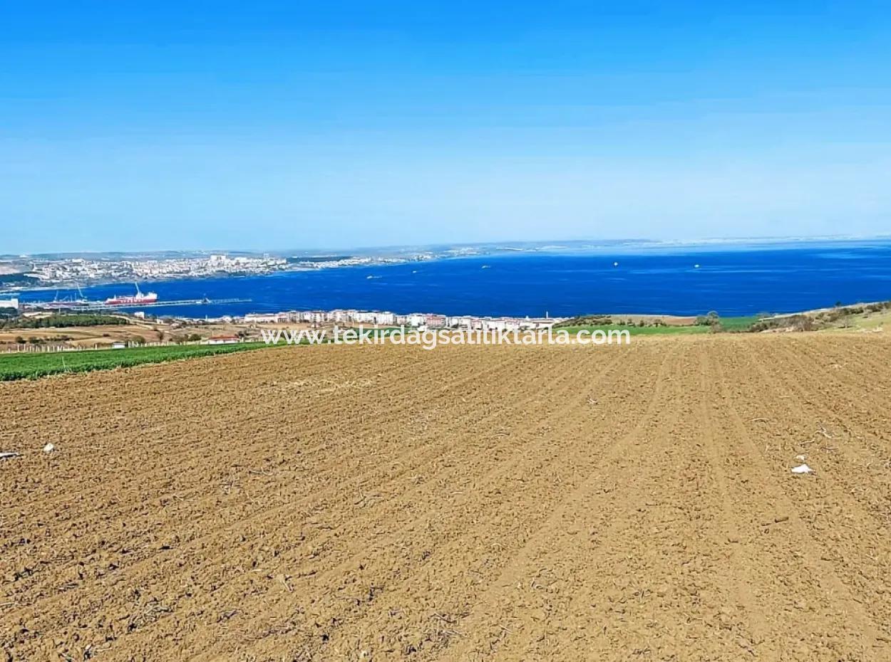 This 9,400 M2 Land In Tekirdag Süleymanpaşa Barbaros Is Located In A Magnificent Location