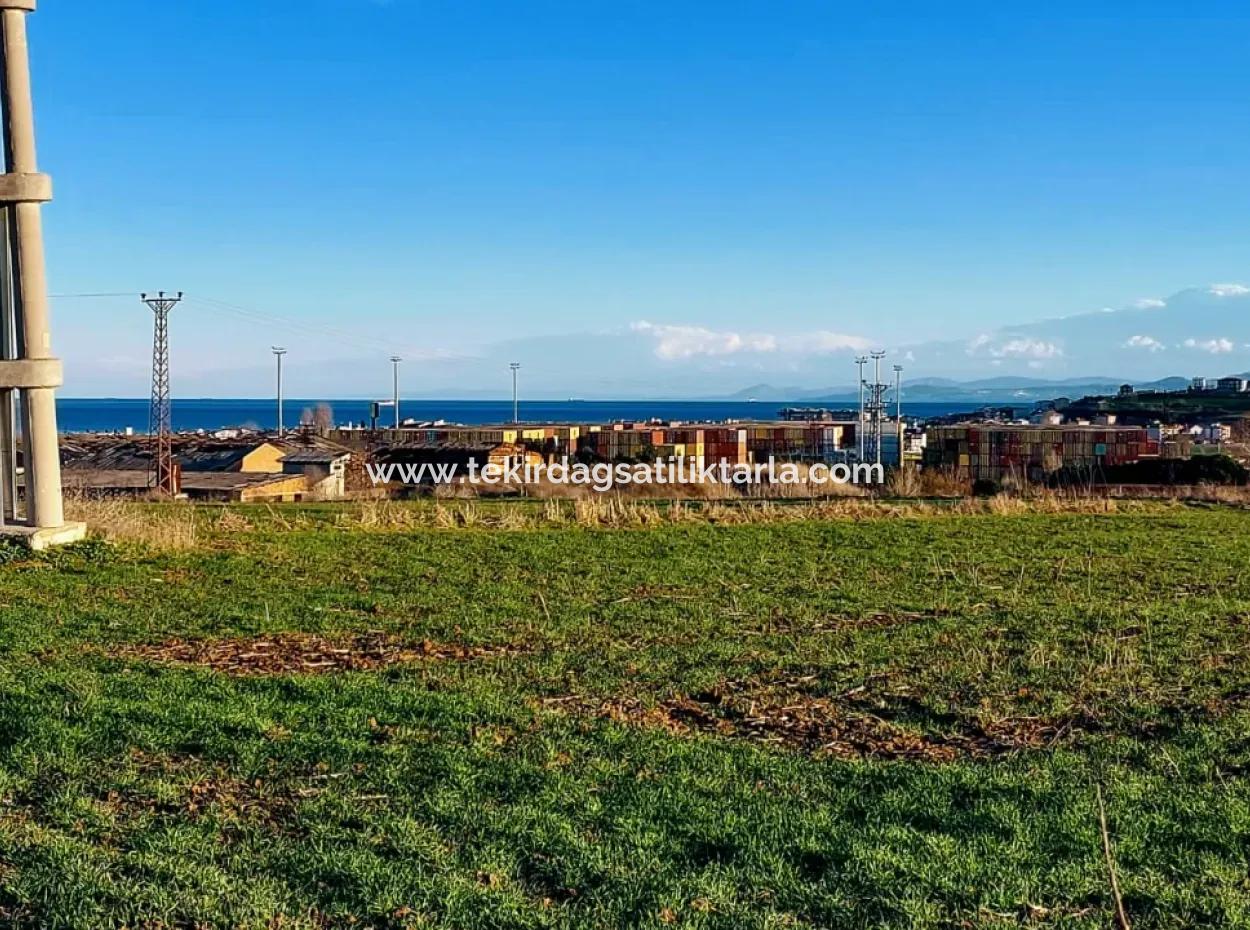 3.100 M2 Field For Sale In Tekirdag Süleymanpaşa Barbaros With Magnificent Sea And Nature Views