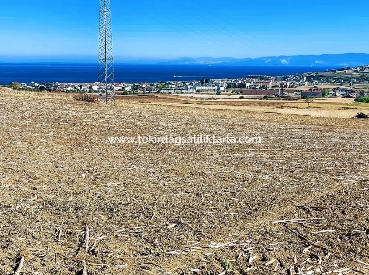 The 21,900 M2 Plot Located In Tekirdağ Barbaros Is Located Within The Current Zoning Plan Of Asyaport Port