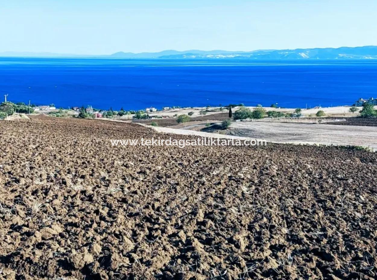 Sea And Nature View Cooperative In Tekirdag Barbaros