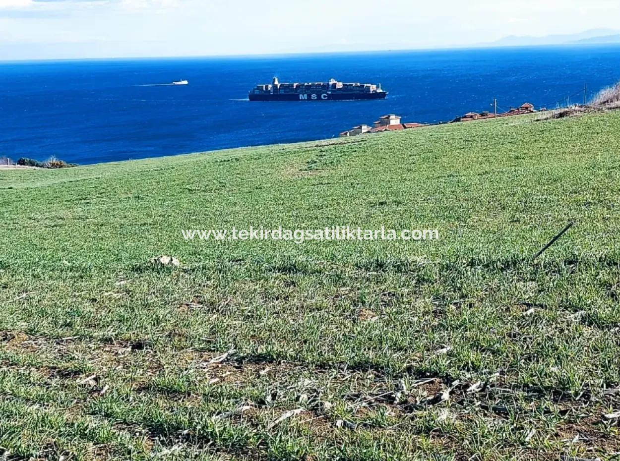 465 M2 Sea View Land Ideal For Investors And Homeowners In Barbaros, Tekirdag