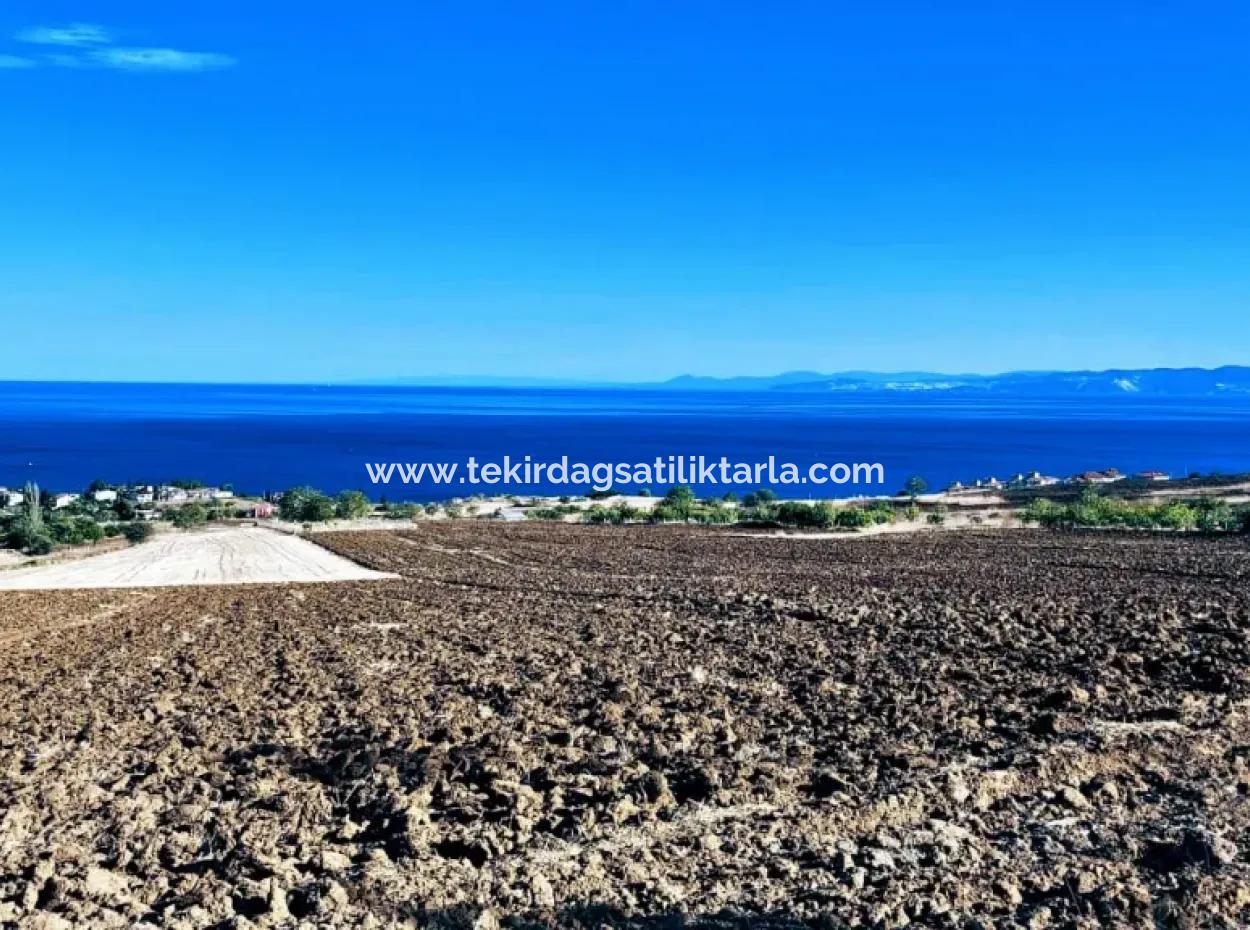 A Cooperative Place With A Wonderful Sea View For Urgent Sale In Tekirdag Topağaç Neighborhood And Suitable For Site Construction