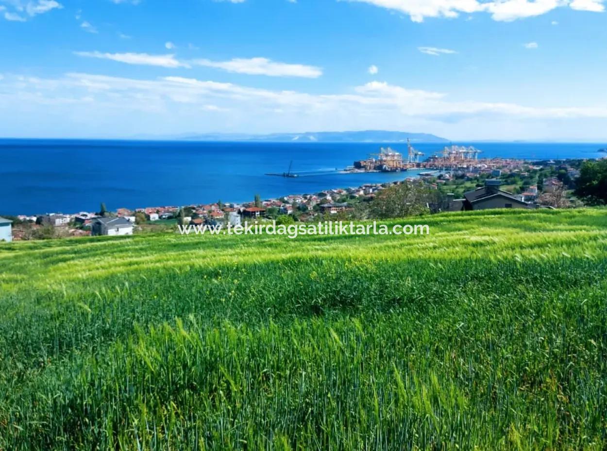 Tekirdag Barbarosta 42 Flats For Urgent Sale Cooperative And Suitable Place For Site Construction