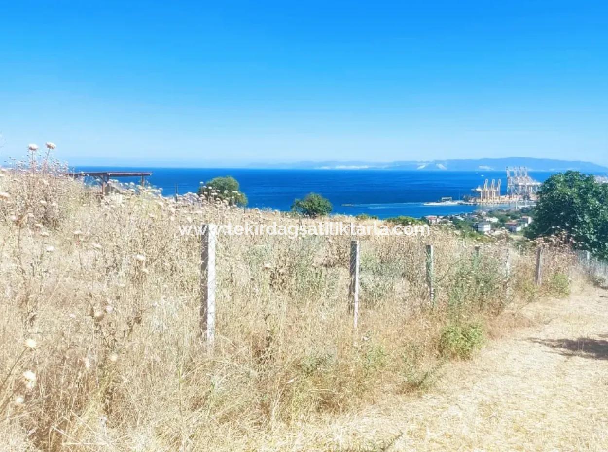 765 M2 Bargain Land With Full Sea View For Urgent Sale In Tekirdag Barbarosta