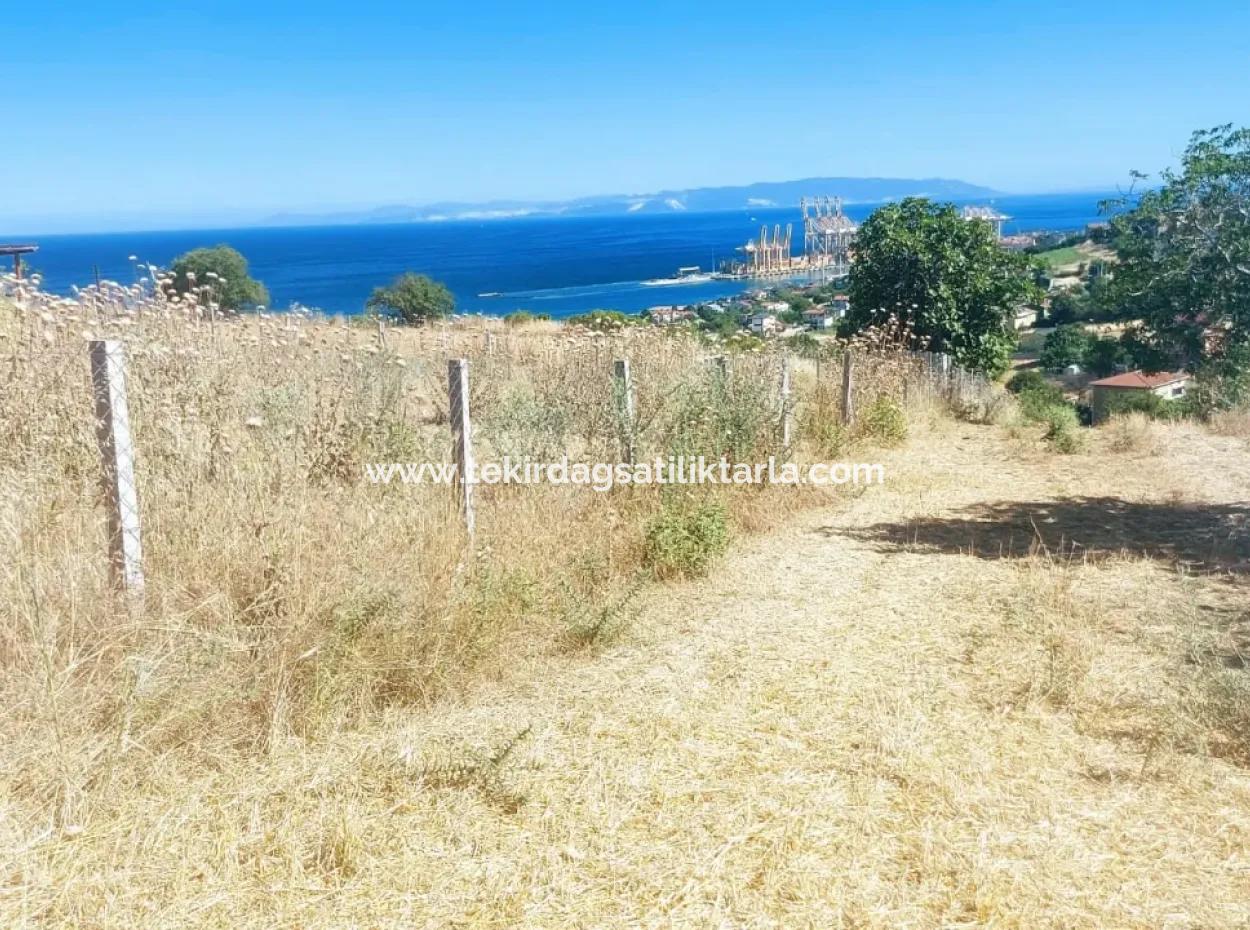 765 M2 Bargain Land With Full Sea View For Urgent Sale In Tekirdag Barbarosta