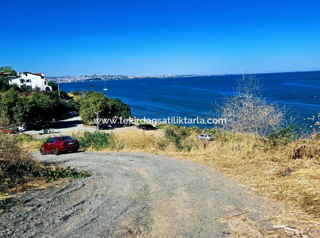 Coupon Land Suitable For Building Your Seafront Detached Villa In Tekirdag Barbarosta