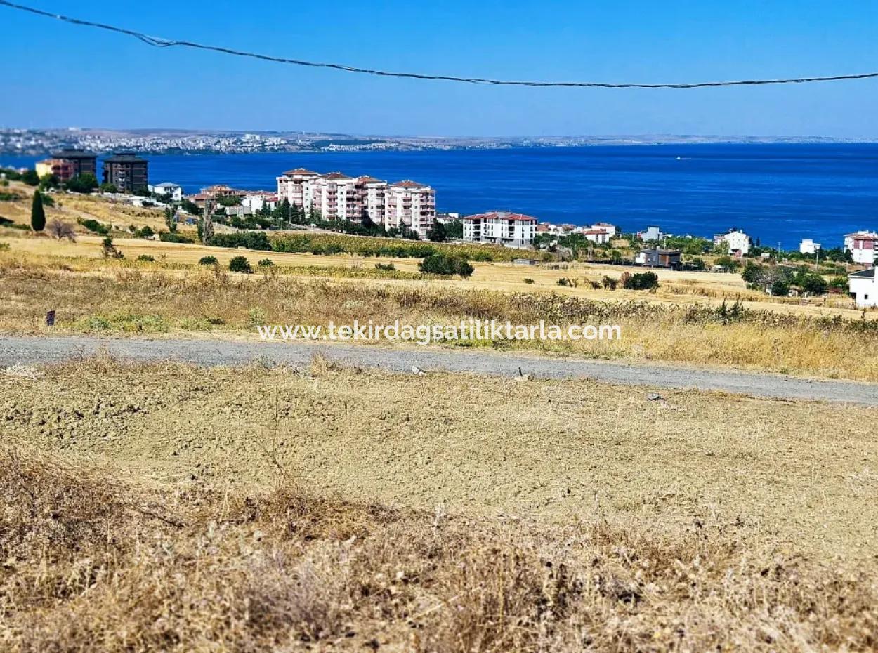 Coupon Land For Urgent Sale Suitable For Building A Detached House In Tekirdag Barbarosta