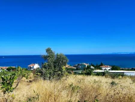 Amazing Investment Opportunity For 6 Villas With Sea View In Tekirdag Süleymanpaşa Barbarossa!