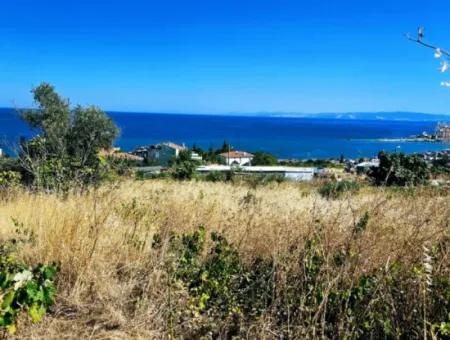 Amazing Investment Opportunity For 6 Villas With Sea View In Tekirdag Süleymanpaşa Barbarossa!