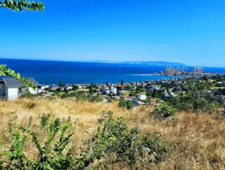 Amazing Investment Opportunity For 6 Villas With Sea View In Tekirdag Süleymanpaşa Barbarossa!