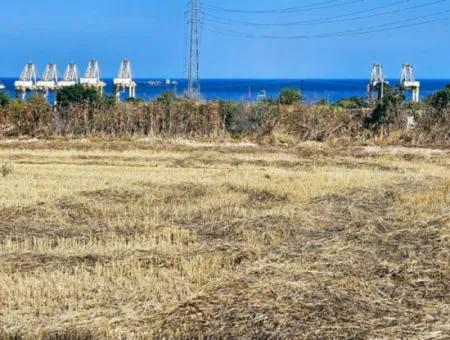 8.500 M2 Residential Zoned Coupon Field For Urgent Sale Close To Asyaport Port