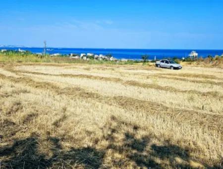 8.500 M2 Residential Zoned Coupon Field For Urgent Sale Close To Asyaport Port