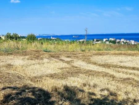 4.150 M2 Residential Zoned Field For Urgent Sale Just 1 Km From Asyaport Port