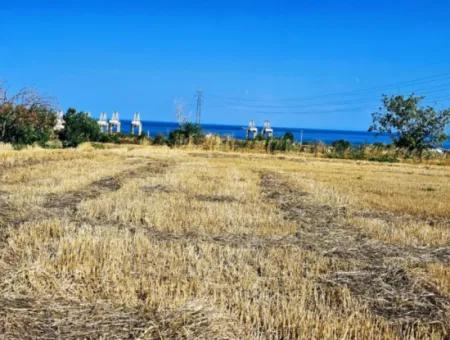 4.150 M2 Residential Zoned Field For Urgent Sale Just 1 Km From Asyaport Port