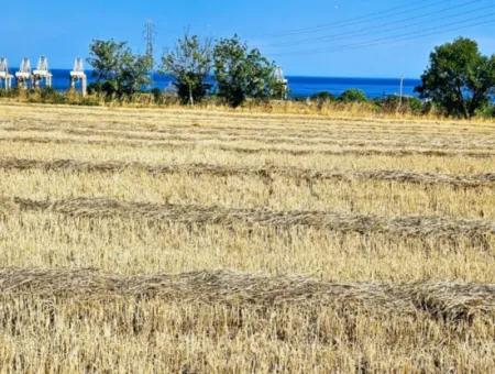 4.150 M2 Residential Zoned Field For Urgent Sale Just 1 Km From Asyaport Port