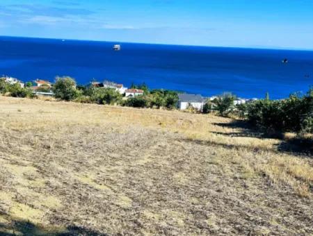 25 Flats With Full Sea View Coupon Place For Urgent Sale In Tekirdag Barbarosta