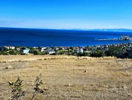 25 Flats With Full Sea View Coupon Place For Urgent Sale In Tekirdag Barbarosta