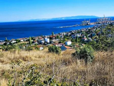 25 Flats With Full Sea View Coupon Place For Urgent Sale In Tekirdag Barbarosta