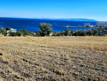 25 Flats With Full Sea View Coupon Place For Urgent Sale In Tekirdag Barbarosta