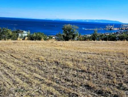 25 Flats With Full Sea View Coupon Place For Urgent Sale In Tekirdag Barbarosta