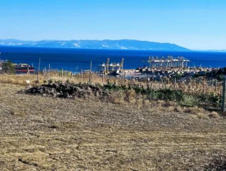 765 M2 Bargain Land With Full Sea View For Urgent Sale In Tekirdag Barbarosta