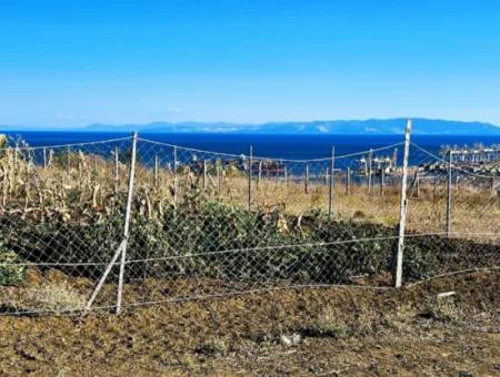 765 M2 Bargain Land With Full Sea View For Urgent Sale In Tekirdag Barbarosta