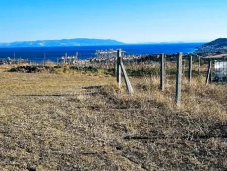 765 M2 Bargain Land With Full Sea View For Urgent Sale In Tekirdag Barbarosta