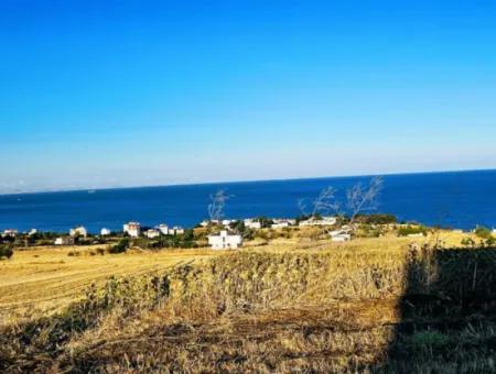 1.750 M2 Bargain Corner Plot With Full Sea View For Urgent Sale In Tekirdag Barbarosta