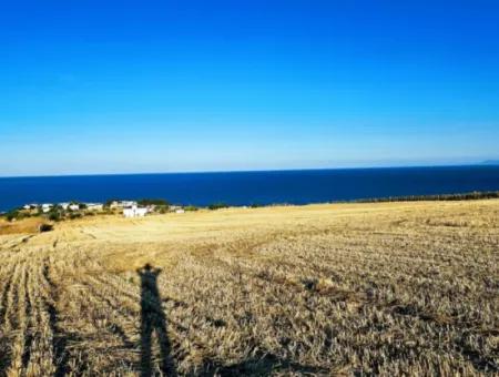 1.750 M2 Bargain Corner Plot With Full Sea View For Urgent Sale In Tekirdag Barbarosta