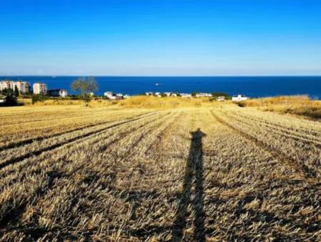 1.750 M2 Bargain Corner Plot With Full Sea View For Urgent Sale In Tekirdag Barbarosta