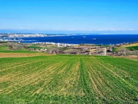 6.400 M2 Villa Zoned Land With Full Sea View Villa For Urgent Sale In Tekirdag Barbarosta