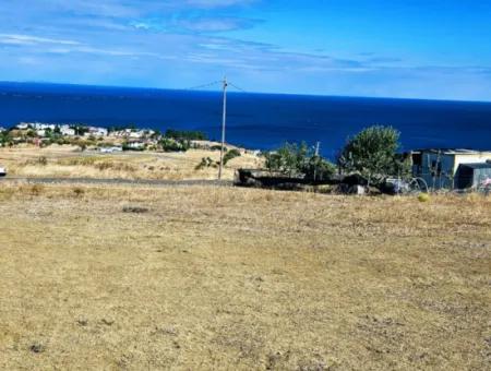 Opportunity Land Suitable For Building Your Detached House In Your Pregnant House For Urgent Sale In Tekirdag Barbarosta