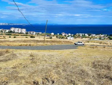 Opportunity Land Suitable For Building Your Detached House In Your Pregnant House For Urgent Sale In Tekirdag Barbarosta