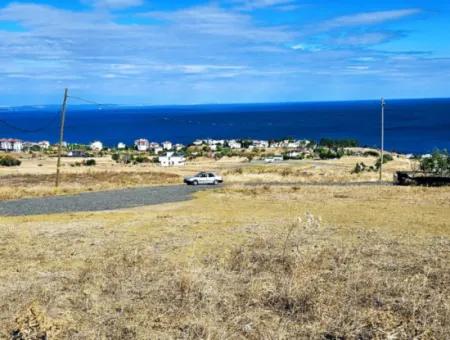 Opportunity Land Suitable For Building Your Detached House In Your Pregnant House For Urgent Sale In Tekirdag Barbarosta